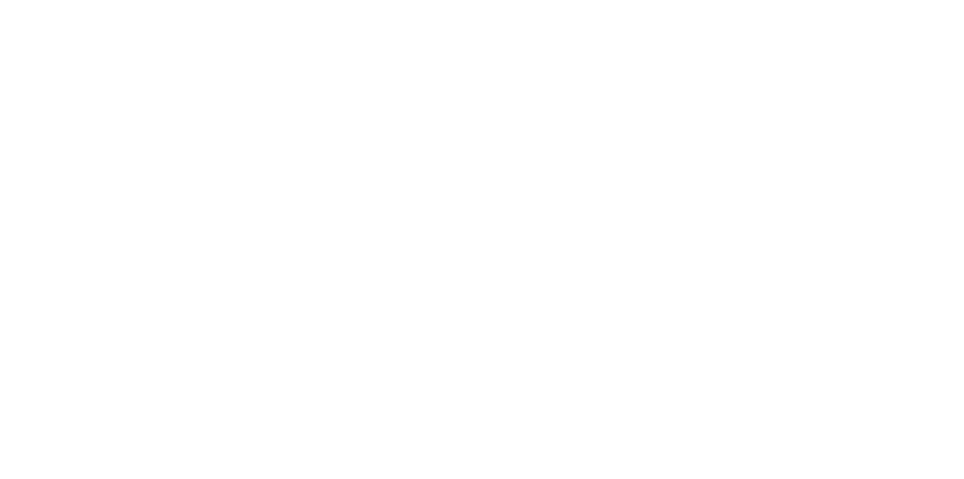 Spacetime Orchestra logo